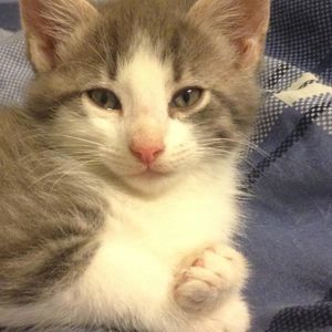 Meet your Posher, Mary